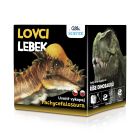 Lovci Lebiek - Pachycephalosaurus