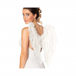Krídla biele Anjel