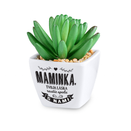 Kaktus s venovaním - Maminka