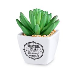 Kaktus s venovaním - Priatelia