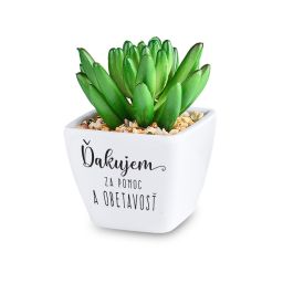 Kaktus s venovaním - Ďakujem za pomoc