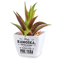 Kaktus s venovaním - Moja kamoška