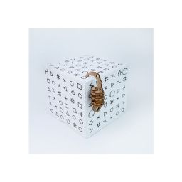 Secret Box