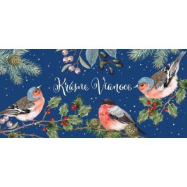 Vianočná obálka na peniaze - Akvarelové vtáčiky