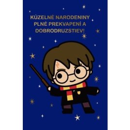 Narodeninové prianie - Harry Potter