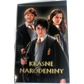 Narodeninové prianie - Harry, Ron a Hermiona