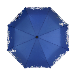 Dáždnik - Modrý kvet