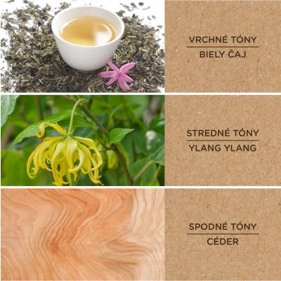                             Biely čaj a eukalyptus - vonný vosk                        