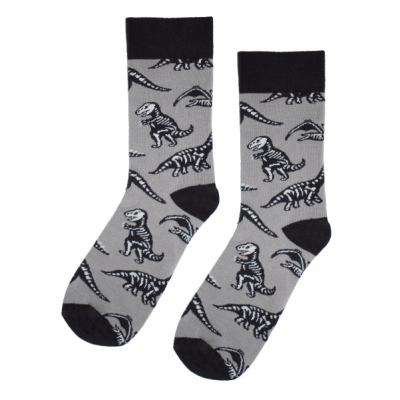                             Farebné ponožky - Dinosaury                        
