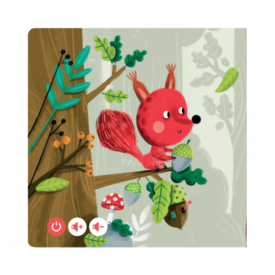                             Minikniha pro nejmenší - Lesní zvířátka CZ                        