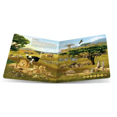                             Tolki Pen + Animal Kingdom EN                        