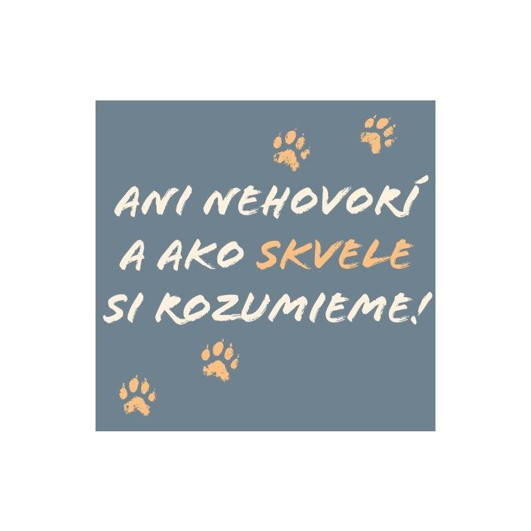 Tričko - Ani nehovorí a skvele si rozumieme XL                    