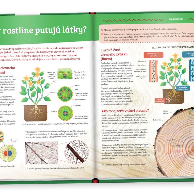                             Rastliny - Objavuj svet!                        
