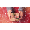 Pohodové doručenie do Vianoc a vianočná prevádzka e-shopu